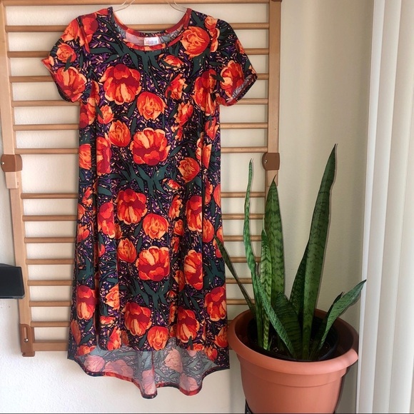 Lularoe Rose high low dress - Picture 1 of 6